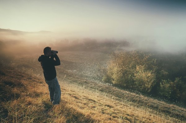 Quels sont les effets de la thérapie par l'exposition à la nature sur la réduction du stress chez les citadins?